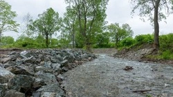 Реки на Сахалине и Курилах освободят от завалов для предотвращения паводков 