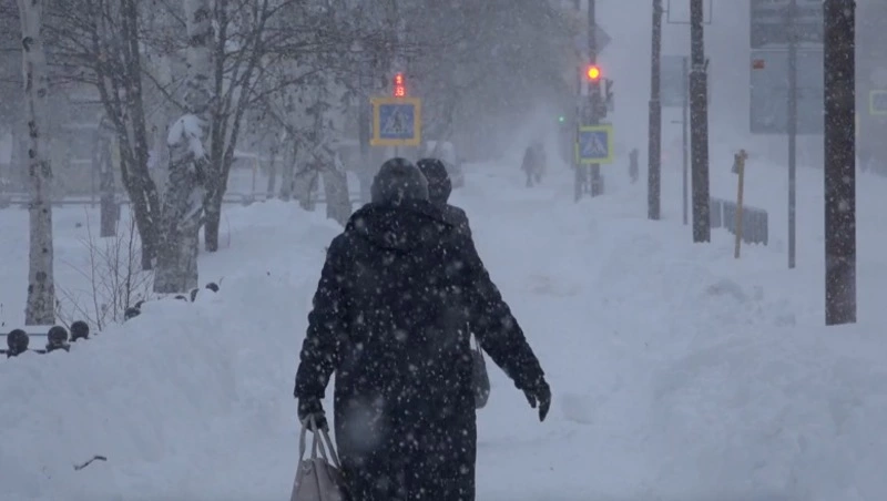 Занятия в школах Ноглик проведут дистанционно из-за метели 30 ноября