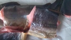 «Сопли вместо рыбы»: в ТЦ Южно-Сахалинска продают очень странную горбушу