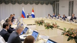Десять инвестпроектов на Дальнем Востоке получили господдержку на 9,6 миллиарда рублей 