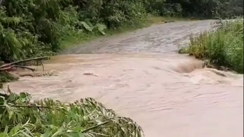 Из-за прошедшего по Сахалину тайфуна «Хагупит» по проезжей части «пошла» горбуша