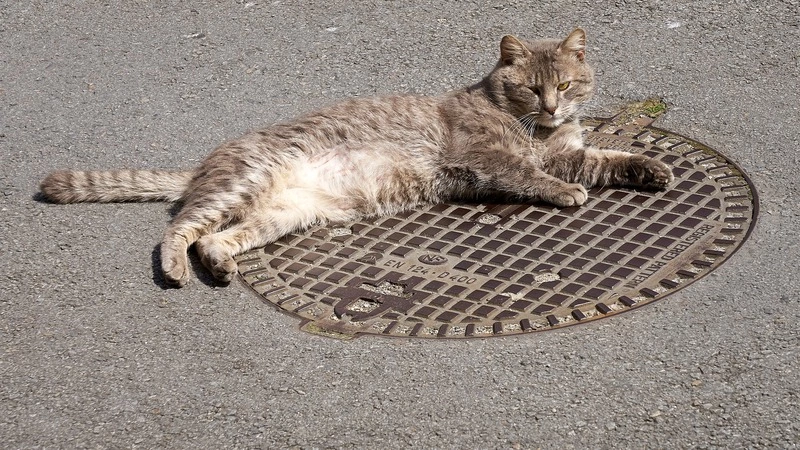 На Сахалине нашли открытый колодец, которого не было на схемах