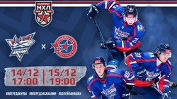 «Сахалинские Акулы» проведут благотворительный матч для приюта животных