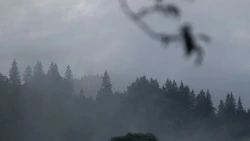 Туманное утро, дождь и до +27 градусов ждет жителей Сахалина и Курил 30 июля