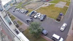 Женщина на внедорожнике дважды переехала кошку в Охе 