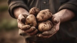 Приметы обо всем на 7 августа 2023 года: что можно и нельзя делать в этот день