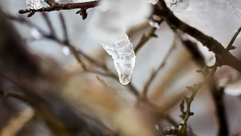 От «кусачего» мороза до весенней капели изменится погода в Южно-Сахалинске 24 февраля
