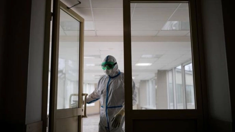 Роспотребнадзор не зафиксировал завоза вируса Нипах в Россию