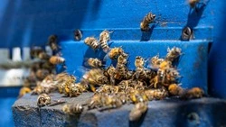 Приметы обо всем на 2 июля 2023 года: что можно и нельзя делать в этот день