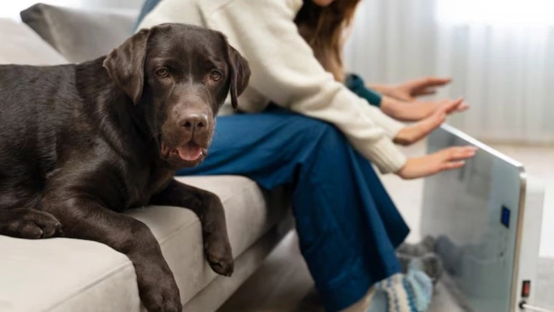 Детсады, больница и десятки домов Южно-Сахалинска останутся без отопления 17 февраля 