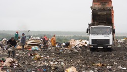 Сахалинцы просят Лимаренко запретить стройку мусорного полигона