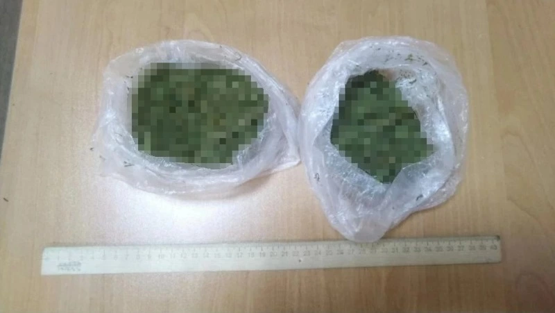 Двое жителей Долинского района ответят в суде за наркоторговлю на Сахалине