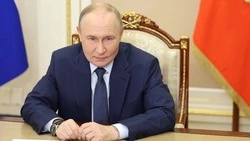Путин: в России наблюдается рост подростковой преступности