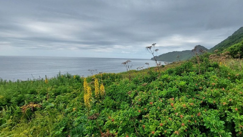 дожди в августе на юге дальнего востока