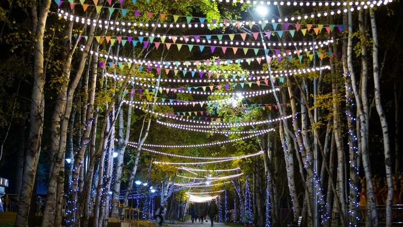 Проект нового парка в Дальнем согласуют с южносахалинцами