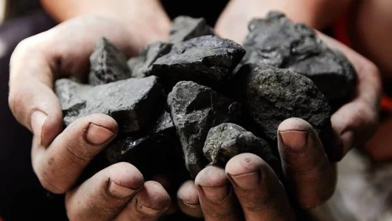 Угольного мошенника из Дальнего будут судить