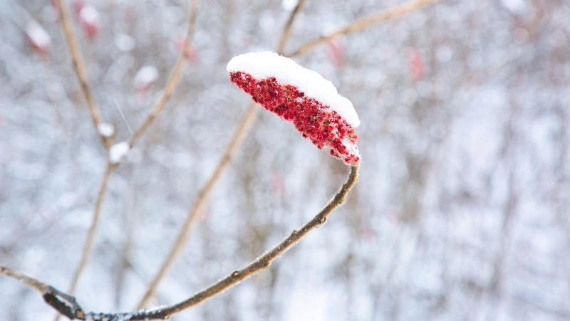 Церковный праздник 28 декабря 2024: что нельзя делать в этот день, приметы