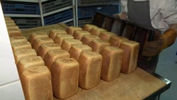 Полторы тонны хлеба и булочек выходят ежедневно c пекарни Углегорского района