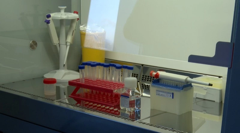 ЭКО на Сахалине станет доступнее: правительство увеличит финансирование