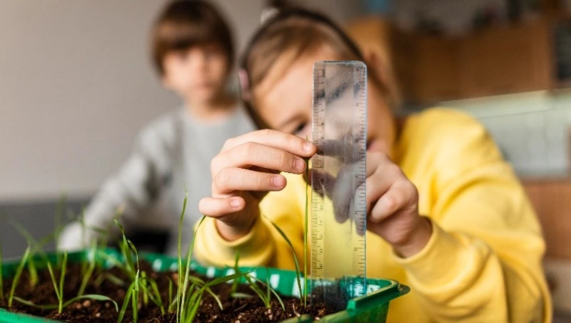 Школьники проверят свои знания по окружающему миру и экологии на онлайн-олимпиаде