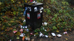 Свалки мусора ликвидировали в 10 районах Сахалина