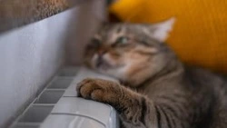 Без тепла останутся пять улиц Южно-Сахалинска 1 ноября