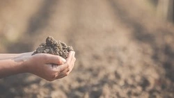 Юрист, получивший доверенность на продажу земли за 5 млн рублей, перевел владелице в 300 раз меньше