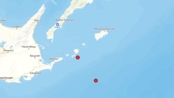 Два землетрясения магнитудой больше 4 произошли возле Курил утром 20 апреля