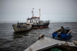 Депутат из Японии прибыл в Москву, чтобы обсудить лов рыбы в российских водах