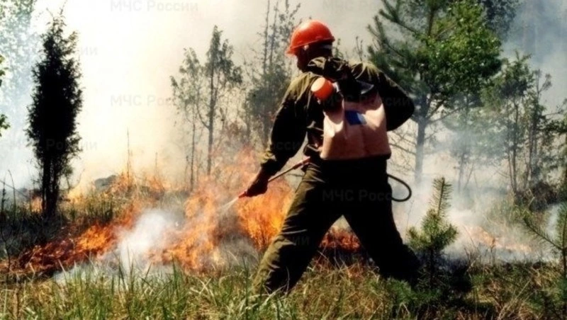 Пожарные потушили сухую траву в Углегорске вечером 18 апреля