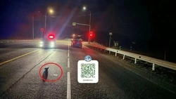 Молодой парень скончался в скорой после ДТП в Корсаковском районе