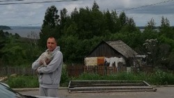Сахалинцы вместе с кошкой добрались на машине до Амурской области