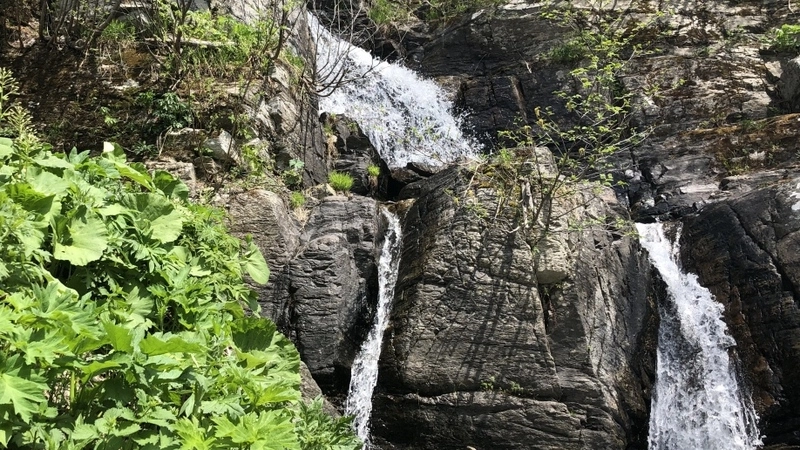 Островитяне отправились в маленькое путешествие по сахалинским джунглям