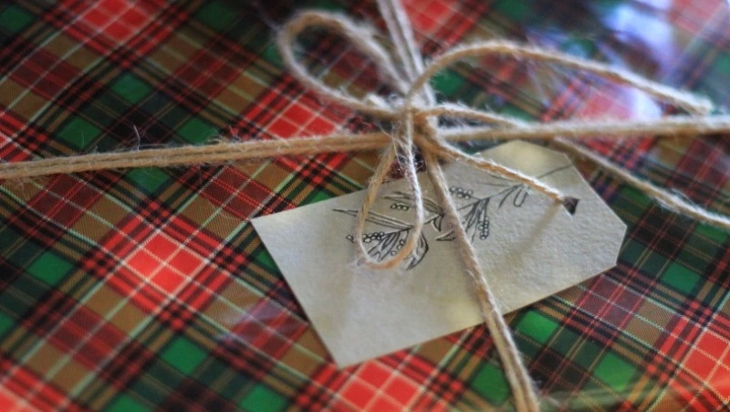 Школьник из Смирных получит мотоциклетный нагрудник в подарок по акции «Елка желаний»