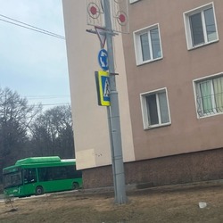 Спрятанные дорожные знаки вызвали недоумение у автомобилистов Южно-Сахалинска