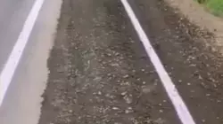 Зачем нужна белая полоса на обочине шоссе, гадают сахалинцы