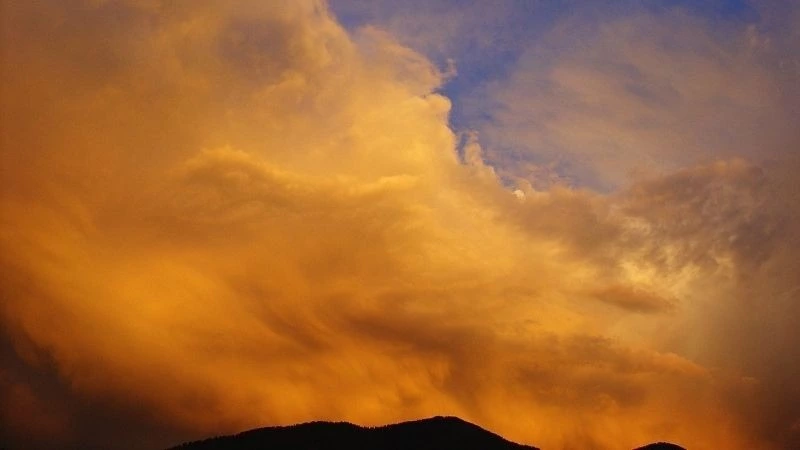 Прогноз погоды на Сахалине на 14 августа