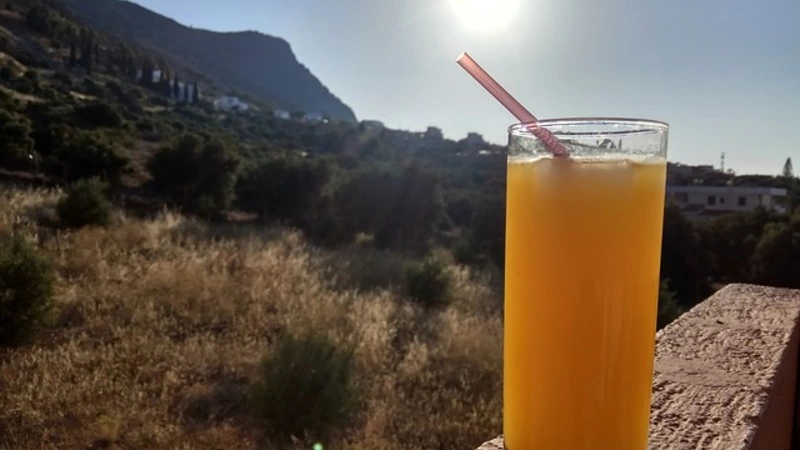 Ученые предупредили о невыносимой жаре