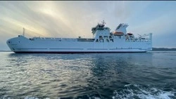 Мигрант-нелегал приплыл с Сахалина в Ванино на пароме и попался полиции 