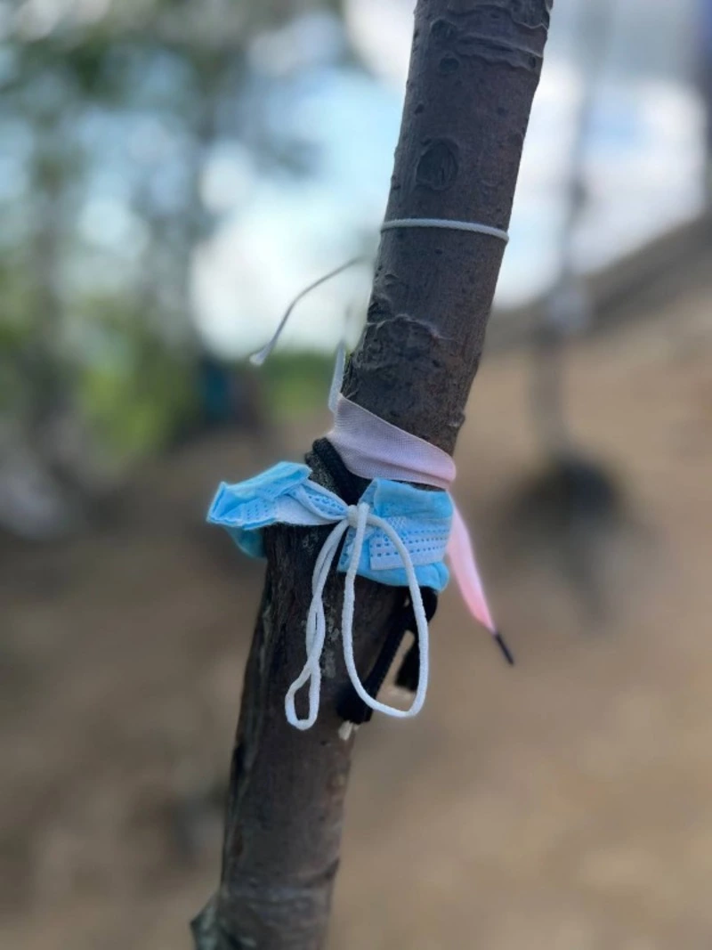 Захламляющих останец Лягушка туристов раскритиковали сахалинские гиды