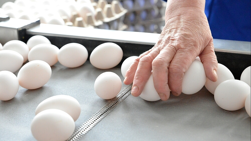 Южносахалинка купила в магазине просроченные яйца из будущего