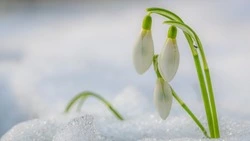 Погода в Южно-Сахалинске 21 марта: -5 градусов и слабый ветер