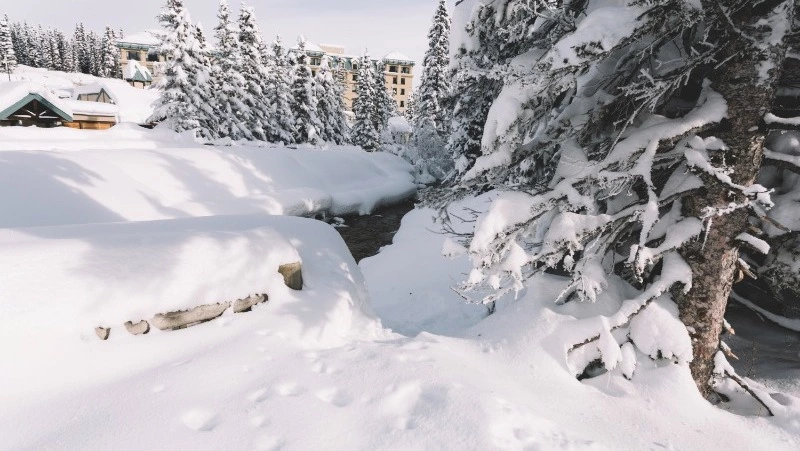 Церковный праздник 1 февраля 2025: что нельзя делать в этот день, приметы