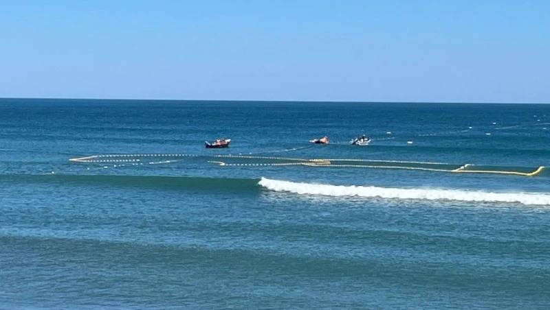 В заливе Анива горбушовая путина идет по новым правилам