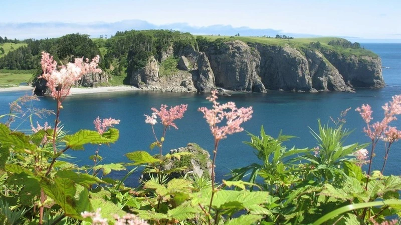 Японцы призывают свою власть отобрать Курильские острова силой