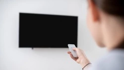 Сахалинцу грозит пять лет тюрьмы за кражу телевизора из арендованной квартиры