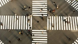 Вишневский ответил на нападки из-за зеленых кустов на улицах Южно-Сахалинска