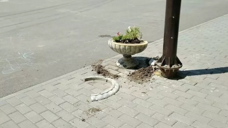 В Долинске за вандалами-«флористами» будет следить видеокамера