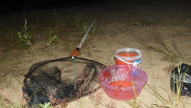 Житель Охинского района незаконно заготовил 3,1 килограмма икры