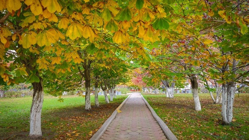 Область низкого давления с дождями придет в Южно-Сахалинск 23 октября